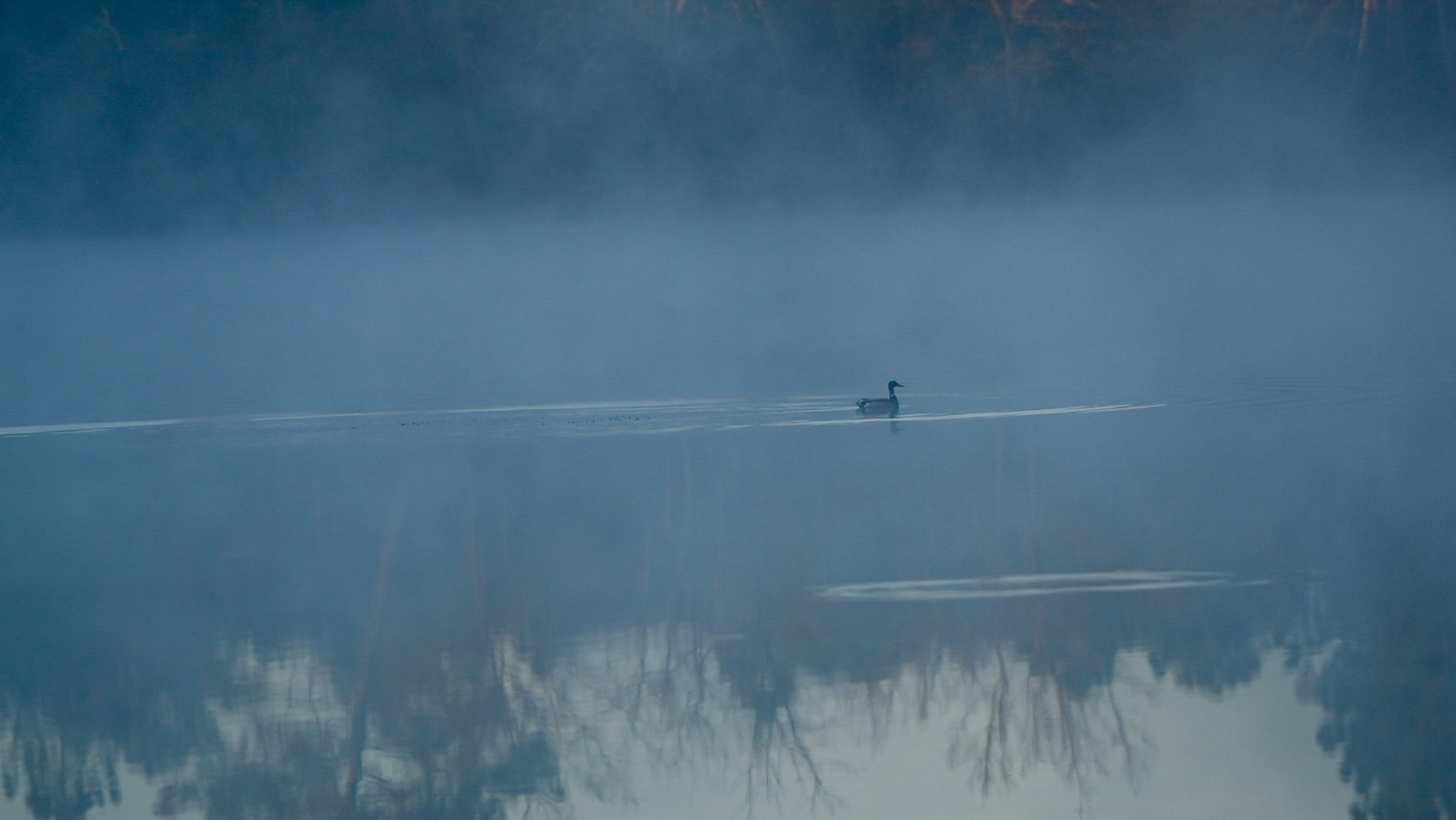 Silence — photographie ER.Visuals