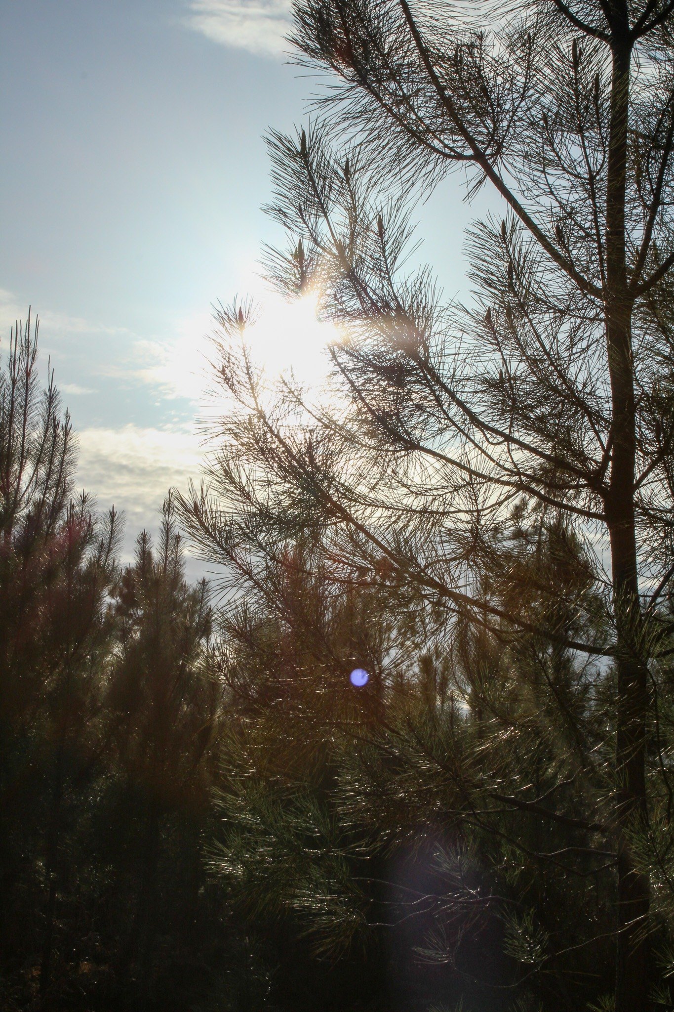 Lumière — photographie ER.Visuals