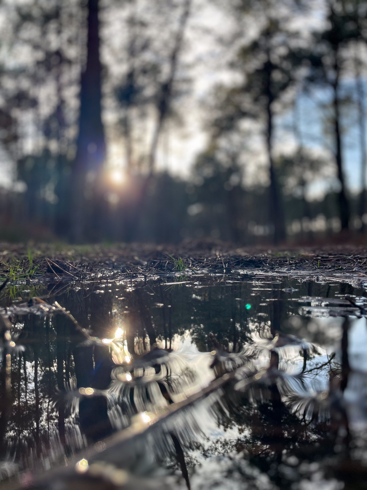 Reflet — photographie ER.Visuals
